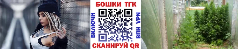 Купить закладку Железногорск Бошки Шишки Галлюциногенные грибы Гашиш