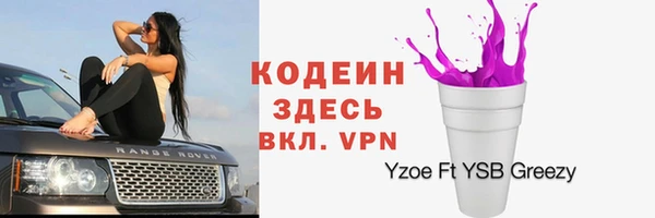 дурь Ладушкин